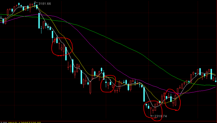 顺德容桂环岛马拉松开始报名！佛山接下来还有这些马拉松赛事→