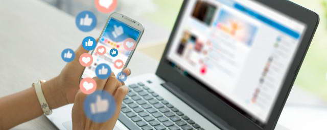 中华白海豚没有手脚,为什么“喜洋洋”“乐融融”有?