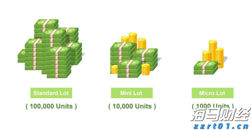 助力建设高水平体育强省，奥运冠军领衔广东众将冲刺十五运会
