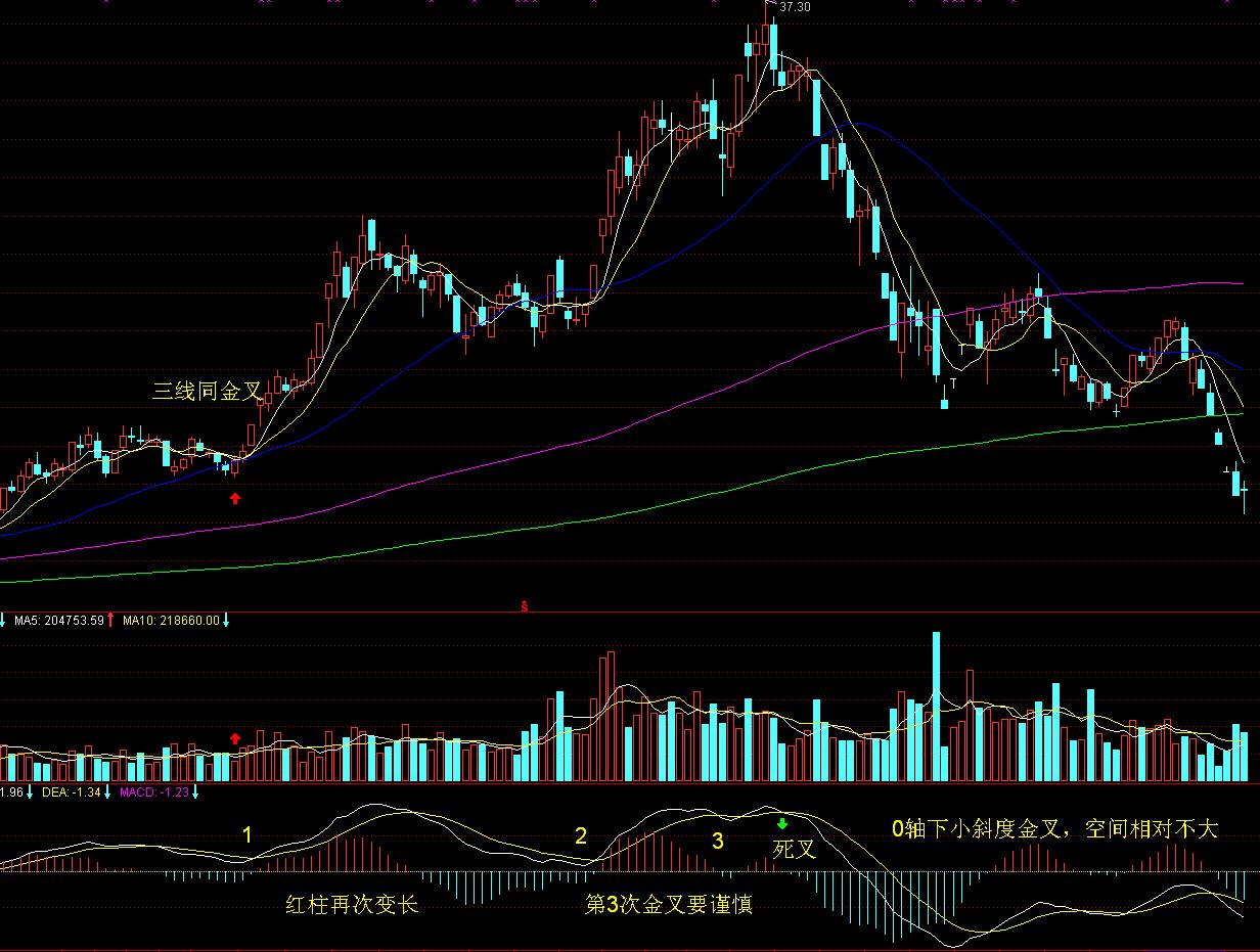 “木头姐”精准打新：豪购加密货币交易所Bullish(BLSH.US)250万股，上市首日暴涨84%